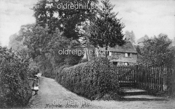 Image number 3111&prevurl=midstreet