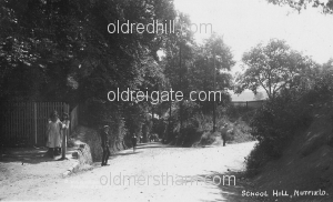 Image number 3109